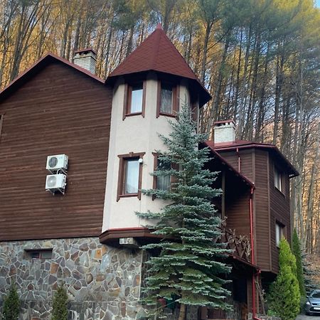 Elf-Cottage Tur'ya Paseka Exterior photo